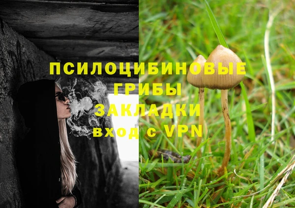 твердый Алексин