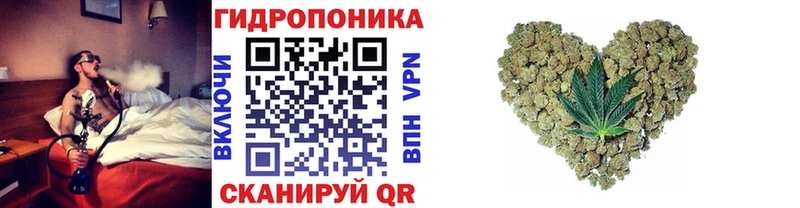 Каннабис план  Александровское 